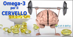 omega-3-cervello